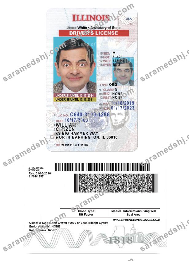 USA Illinois driving license under 21
